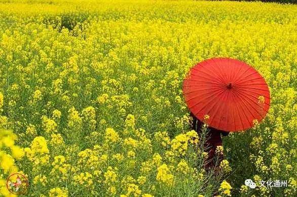 踏春 立春后,人们在春暖花开的日子里,喜欢外出游春,俗称出城探春