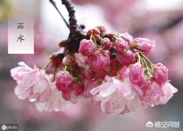 农村俗语"三月怕三七,四月怕初一"是什么意思?有道理吗?