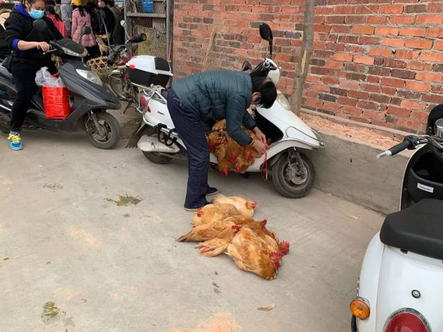 梧州人,别在龙圩"抓鸡"了!