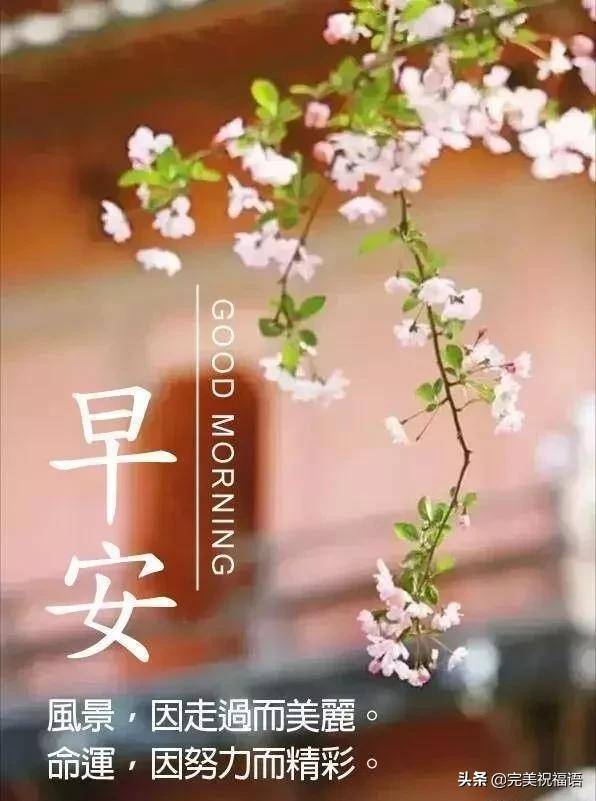 立春日早上暖心问候祝福语,2月4日周二早安祝福短句分享