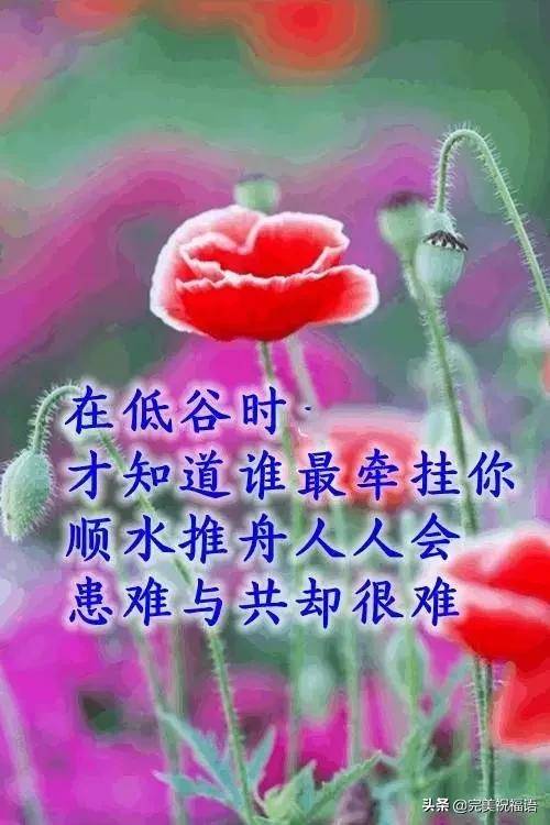 亲爱的朋友 愿美好的心情常伴你左右, 愿健康的身体常伴你左右, 愿