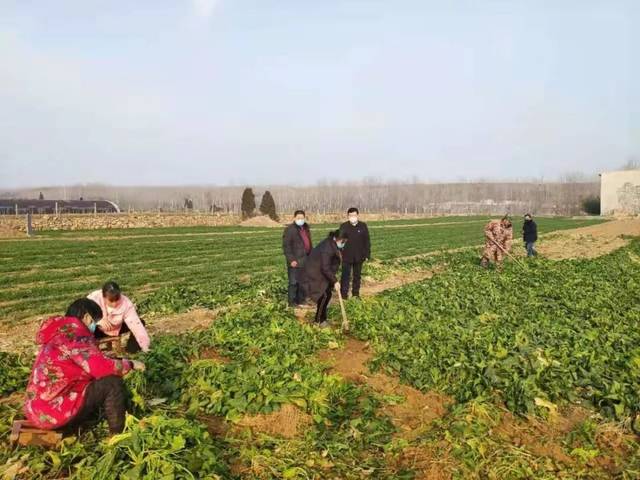 是中岳街道办事处康村村民燕丙伦通过该村党支部书记杨宗然发出去的