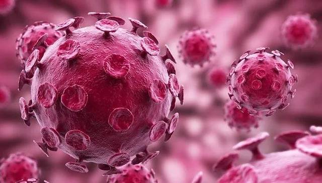 关于新型冠状病毒2019-ncov的7个事实,你需要知道了