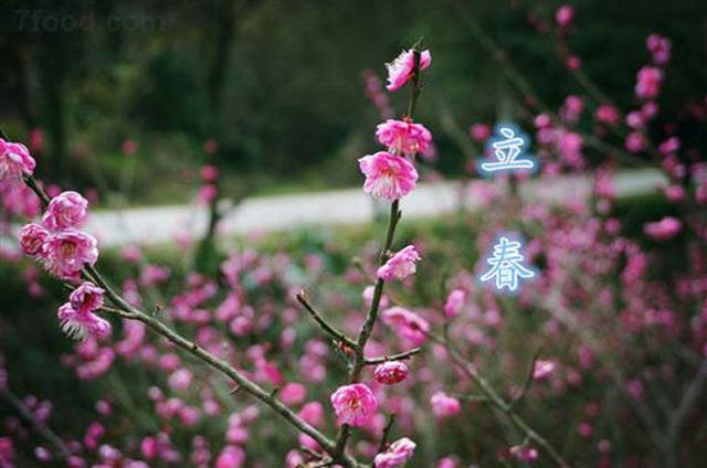 俗语:"立春雨水到,早起晚睡觉",古人为何这么说