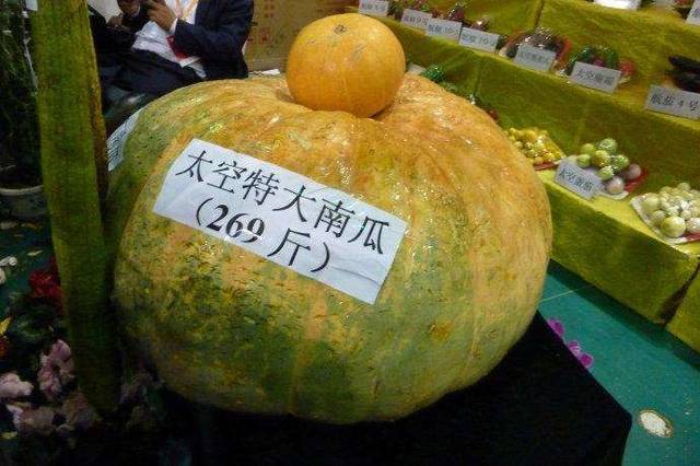 日供武汉2000吨蔬菜,"宇宙寿光"是怎样炼成的?