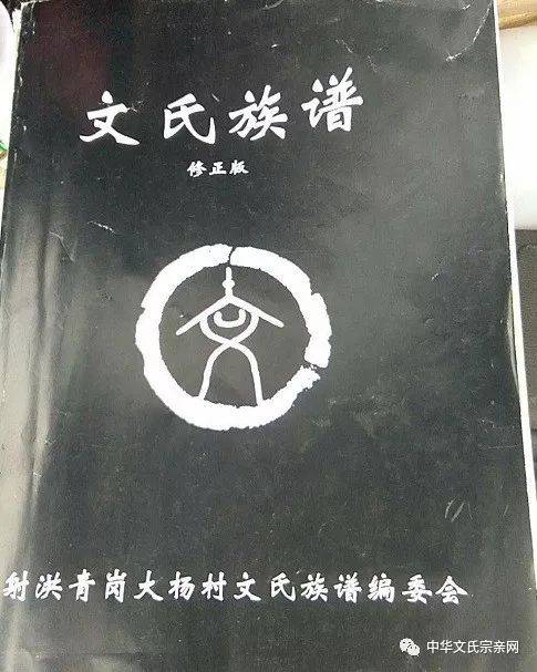 文氏族谱四川省射洪县青岗镇大杨村文氏源流字辈