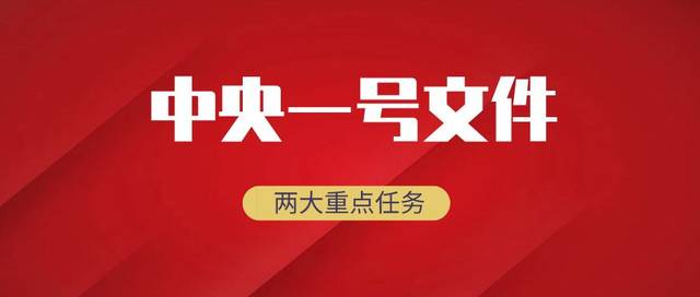 重磅!2020年中央一号文件公布 提出两大重点任务