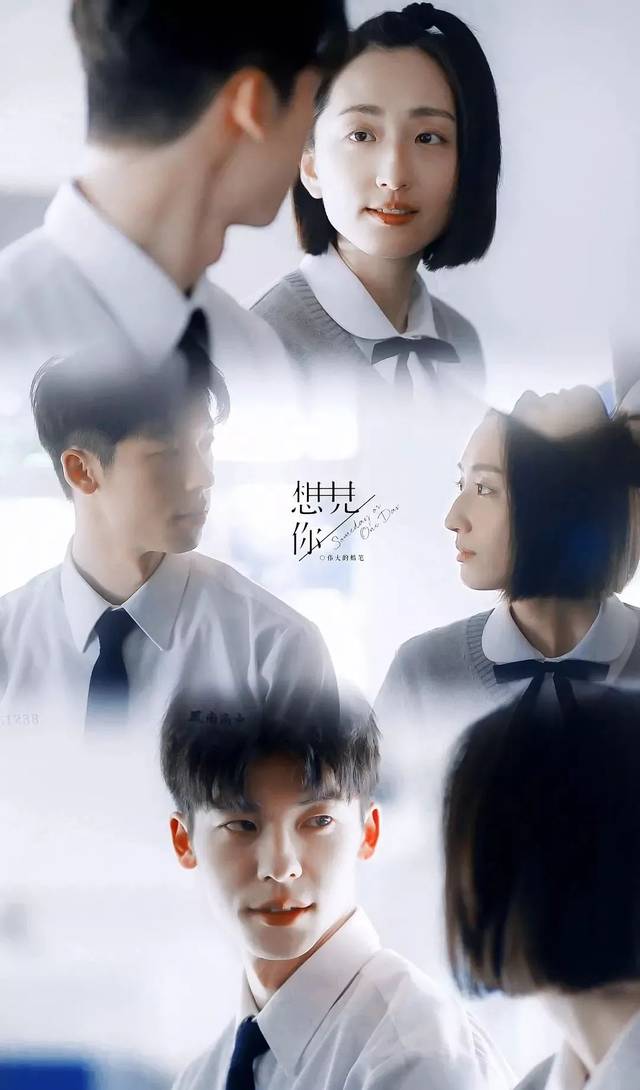 《想见你》壁纸 | 不负春光,不远万里
