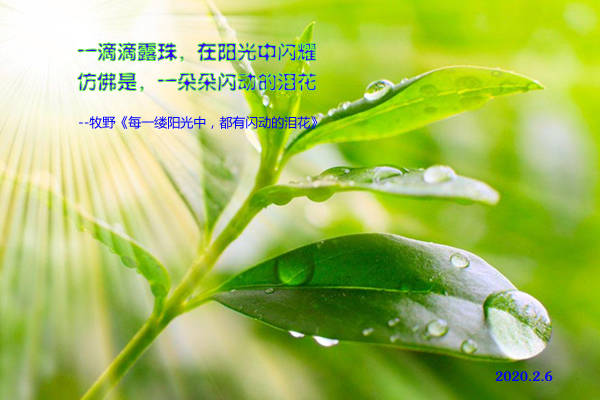 牧野诗歌每一缕阳光中都有闪动的泪花