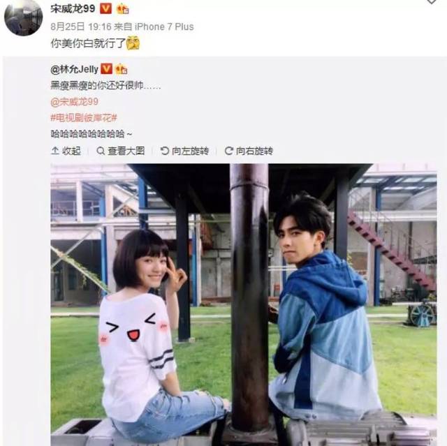 宋茜