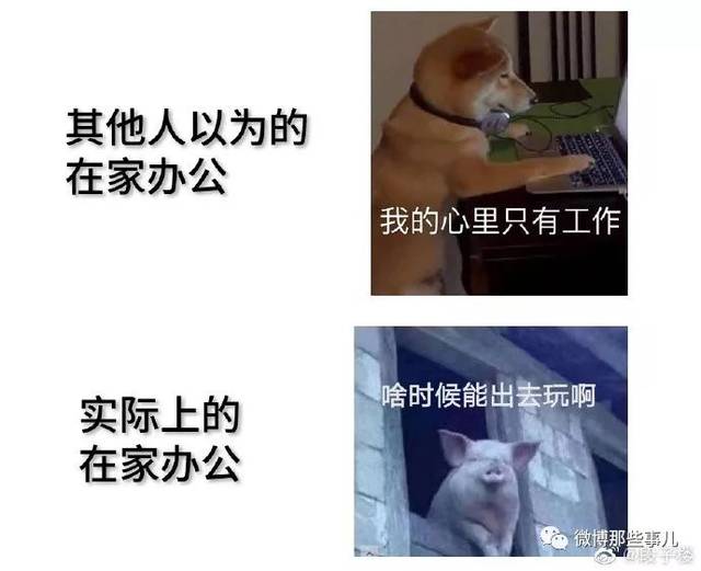 反思中ing :换个鄂a车牌吧 在家办公怎么感觉更累了