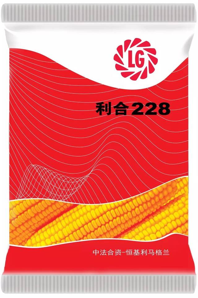 青贮传奇2020年精品推荐利合228积温22002400