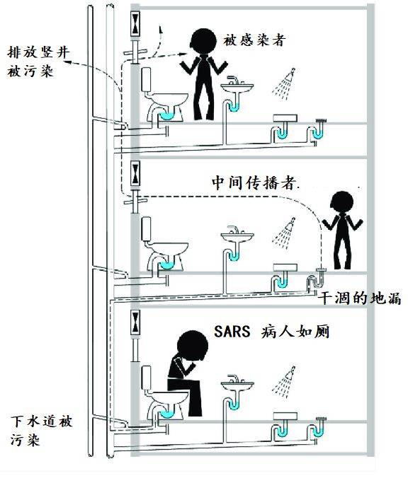 这个图可以示意说明,病毒是怎么样通过卫生间的排水和排气系统竖向