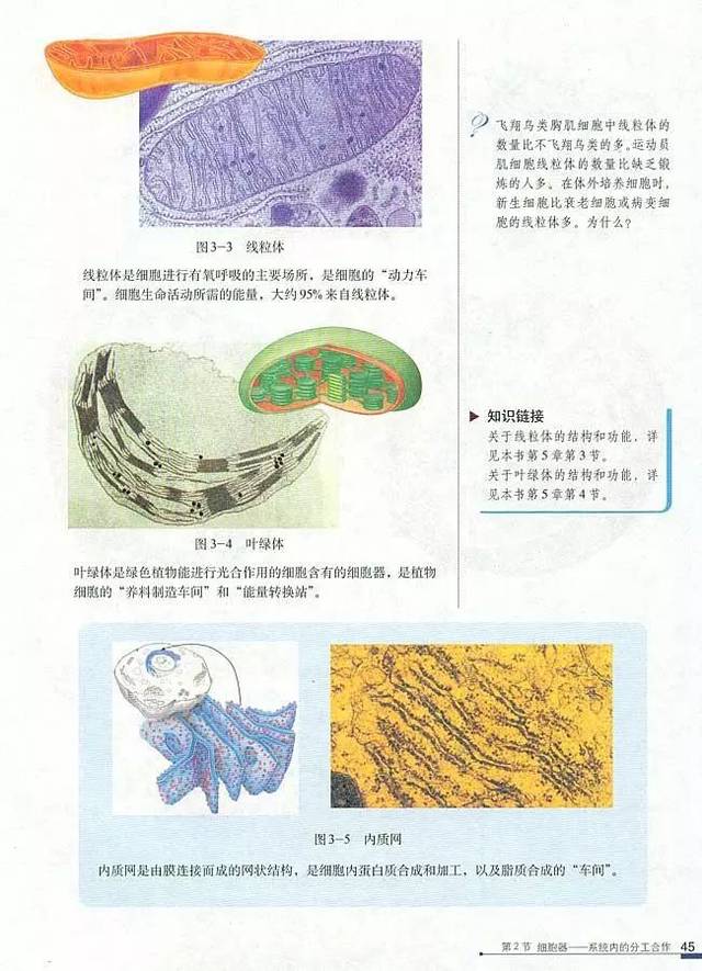 【电子课本】【高中生物】人教版 必修1