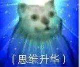 思维升华 魔性猫咪表情包