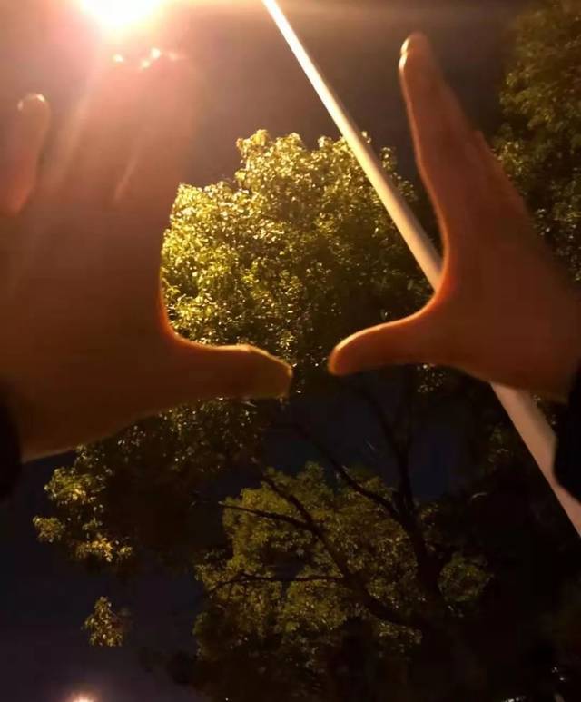 这才是爱情应该有的样子吧