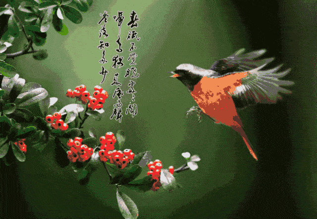 壁纸 花 昆虫 桌面 640_441 gif 动态图 动图