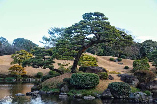 日本著名的庭园,犹如一座巨型山水盆景,游客慕名而来