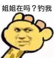 姐姐在吗?钓我(沙雕长颈鹿表情包)