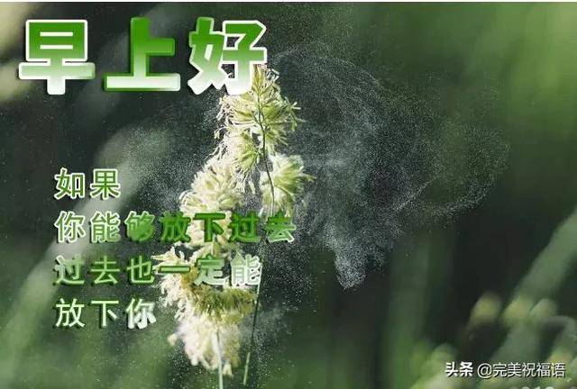 正月十六最新早上好问候语句,最新早上好祝福图片大全