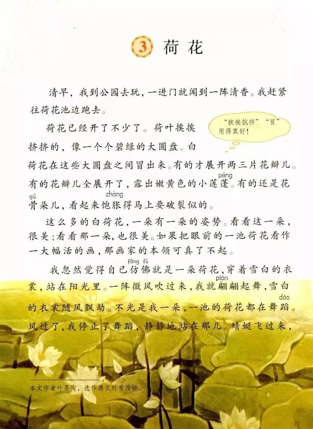 微课堂丨部编语文三年级(下)《荷花》教学视频,知识点