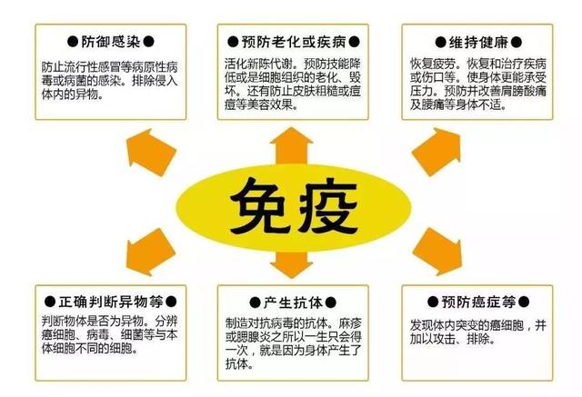 免疫力对于我们普通人应对此次疫情来说很重要