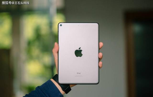 苹果"小白"买ipad,选mini 5还是2019?我建议这么选!