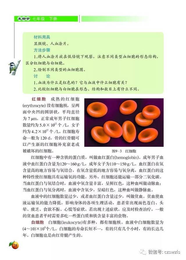 北师大版七年级初一生物下册电子课本(高清版)