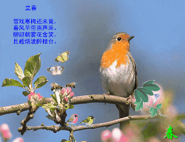 清晨早安问候语动态表情图片 漂亮早上好问祝福图片带字温馨