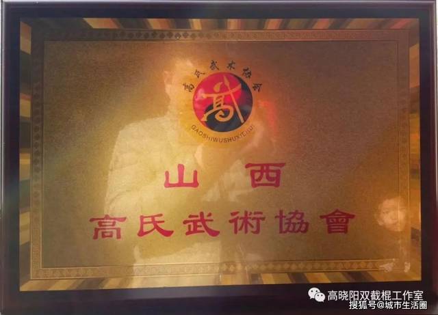 高晓阳个人简历介绍