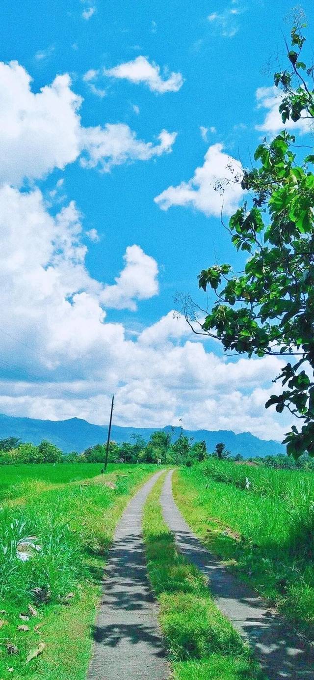 抖音热门精选高清全面屏风景壁纸