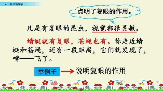统编语文三年级下册第4课《昆虫备忘录》图文解读