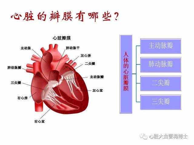 心脏瓣膜病术后的抗凝管理