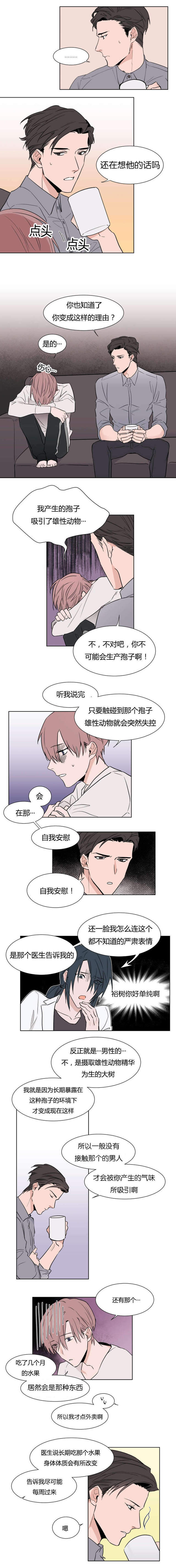 「漫画–韩漫」《月下狼嚎》 全集无删减阅读