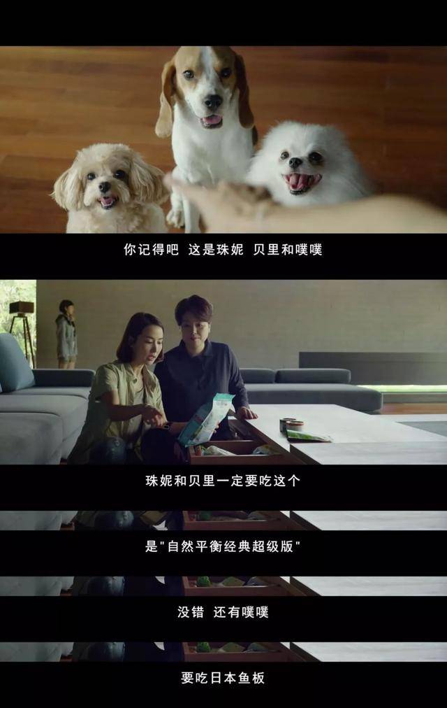 聊刚创造了历史的韩国电影,《寄生虫》,里的吃喝