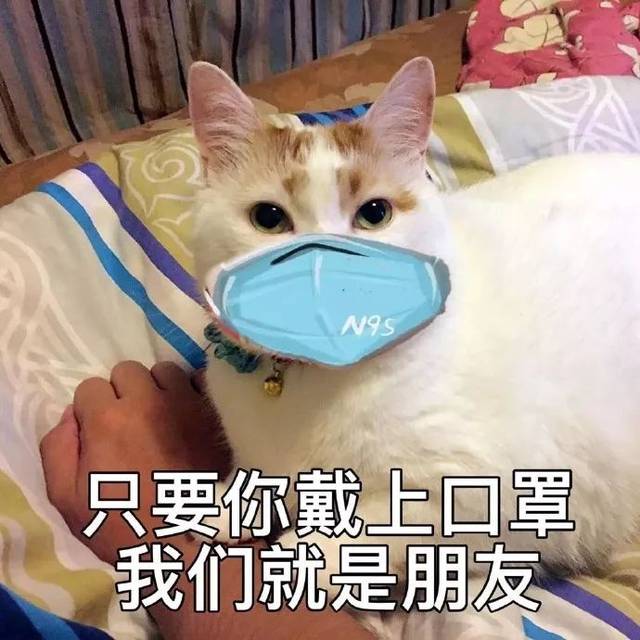 表情包:我看看是谁还没有戴口罩