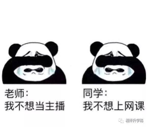 被网课逼疯,老师当主播:我太难了!学生们的回应,让人苦笑不得