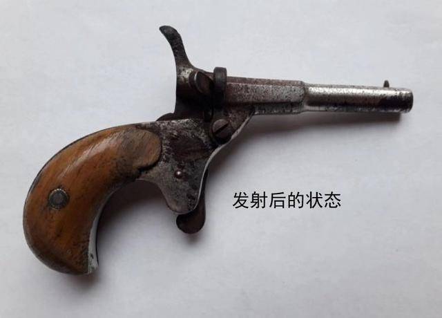 现代白左祖先们的"对狗宝具",对付狗灾的"善良之枪"_手机搜狐网
