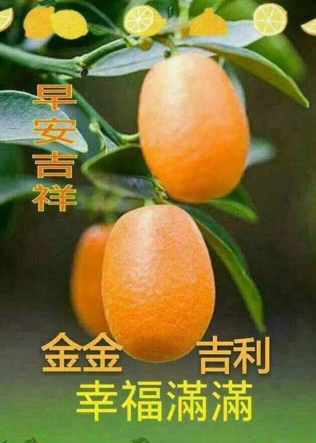 最新早上好问候动态图带字 最美早安问候图片带字温馨
