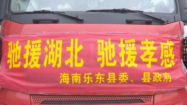 市商务局市场流通科科长 李佐毅"海南省这次为我们汉川捐赠水果72吨