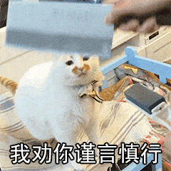 原创虽然官方已辟谣,但我仍想鼓励你立扫把并拉黑那些嘲笑你蠢的人