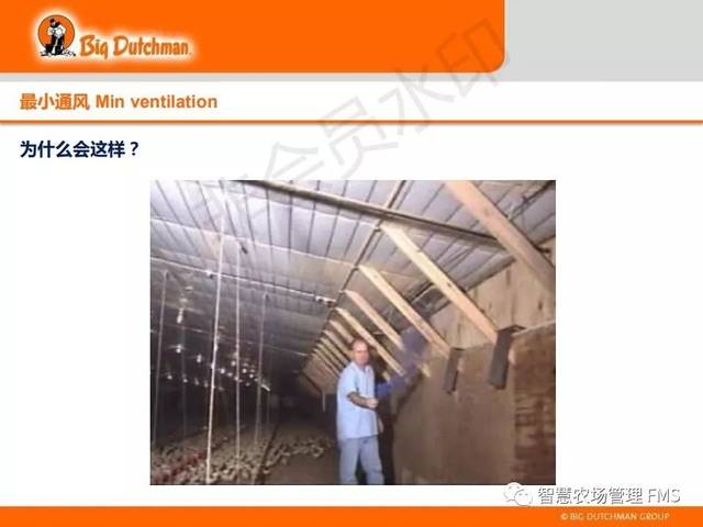 新思维养殖:鸡舍环控及管理(大荷兰人mark )