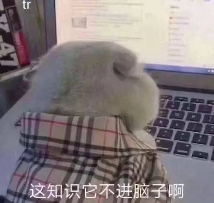 这知识它不进脑子啊