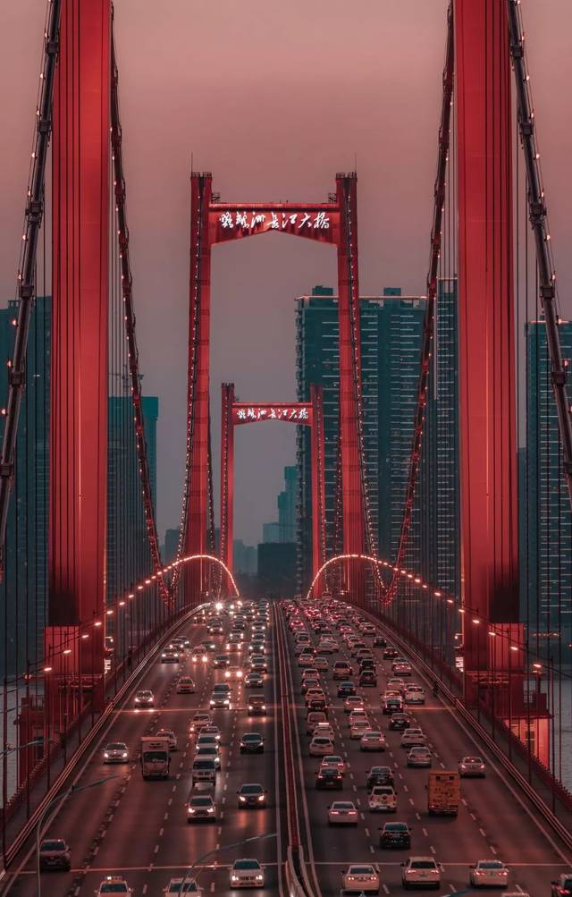 武汉鹦鹉洲长江大桥 / 视觉中国