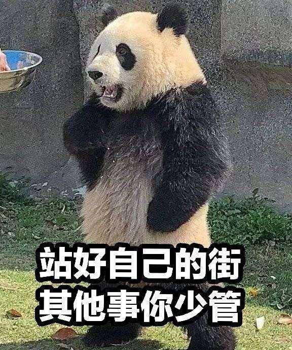 熊猫叉腰表情包原图