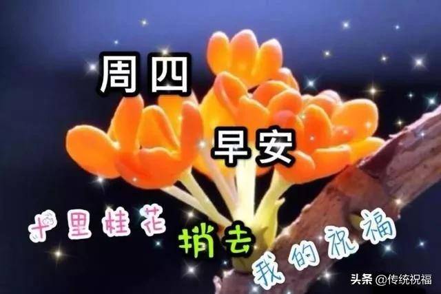 2月13日周四早晨温馨祝福语句,朋友圈早上好祝福表情文字图片