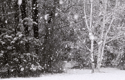 局部暴雪!就在今夜