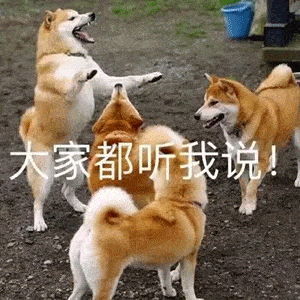 沙雕表情包:今年过节不收礼,收礼只收男朋友!