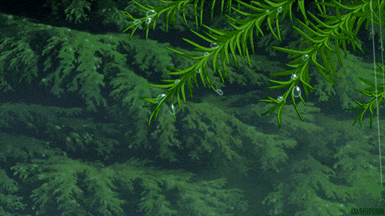 《雨时》