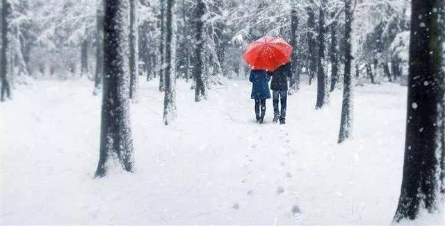 情侣会出门踩雪,白头到老!